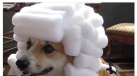 Timeline: Histoy time line