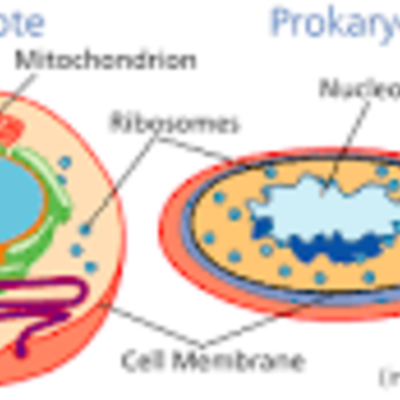 Timeline: Cell theory