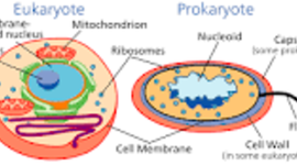 Timeline: Cell theory
