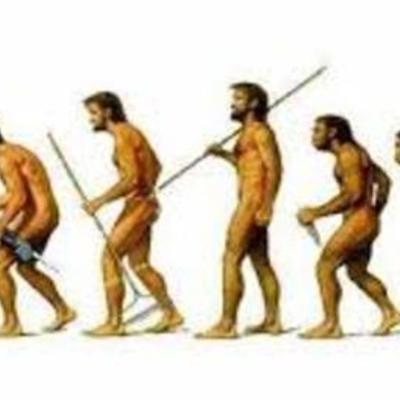 Timeline: Desarrollo de la administración