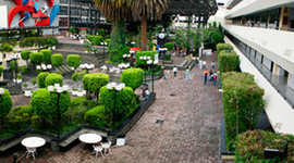 Timeline: UNIVERSIDAD LA SALLE AC