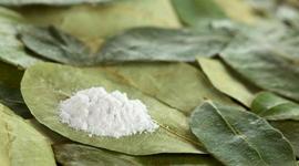 Timeline: HISTORIA DE LA COCAÍNA   ( BORNES Y YAÑEZ )