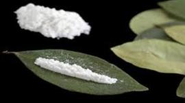 Timeline: La cocaína desde sus inicios-Monzon -Gonzalez