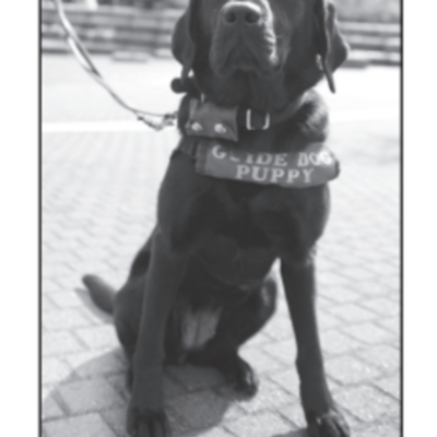 Timeline: Flowers for Algernon