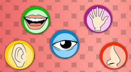 Timeline: LOS SENTIDOS