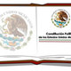 Art.1 constmex 01 295