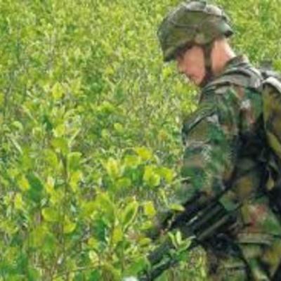 Timeline: Narcotráfico