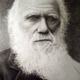 Charles darwin