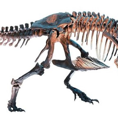 Timeline: Età della storia