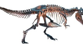 Timeline: Età della storia