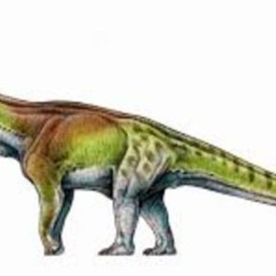 Timeline: Età della storia