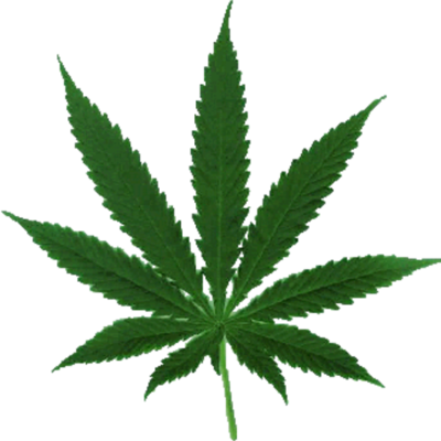 Timeline: Effective Dates of Medical Marijuana Legalization in 15 states and D.C.