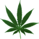 Marijuanaleaf