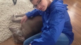 Timeline: La Vida de Nora Williamson-4