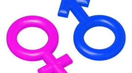 Timeline: Autores de sexología- Isbelia Farías