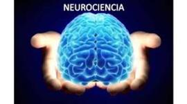 Timeline: HITOS DE LA NEUROCIENCIA