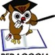 Pedagogia 3