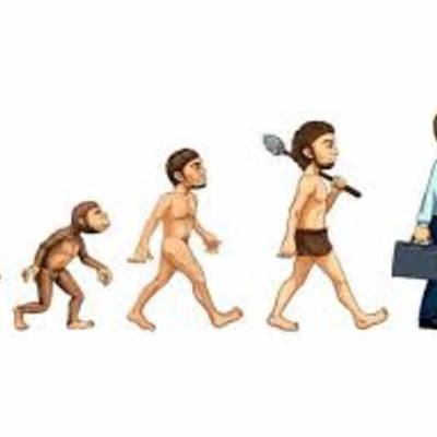 Timeline: El camino de la Evolución