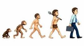 Timeline: El camino de la Evolución