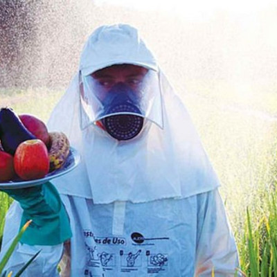 Timeline: A UTILIZAÇÃO DE AGROTÓXICOS NA INDÚSTRIA ALIMENTÍCIA DO  BRASIL – PL 6299/2002