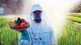 Timeline: A UTILIZAÇÃO DE AGROTÓXICOS NA INDÚSTRIA ALIMENTÍCIA DO  BRASIL – PL 6299/2002