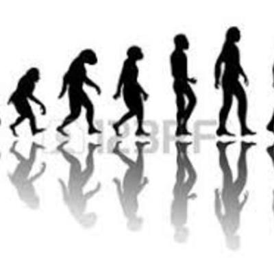 Timeline: Camino a la Evolución