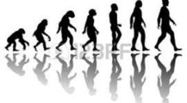 Timeline: Camino a la Evolución