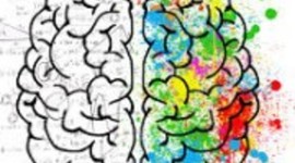 Timeline: Historia de la Neuroeducación