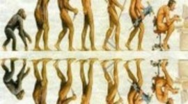 Timeline: EVOLUCIÓN DEL HOMBRE