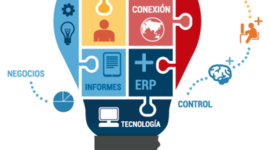 Timeline: Gestión Educativa