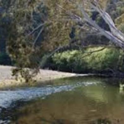 Timeline: Mitta Valley Timeline