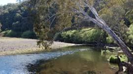 Timeline: Mitta Valley Timeline