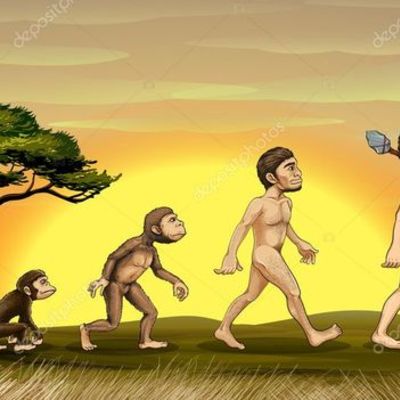 Timeline: Evolución