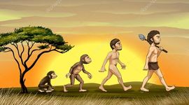 Timeline: Evolución