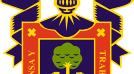 Timeline: Linea del tiempo UDG