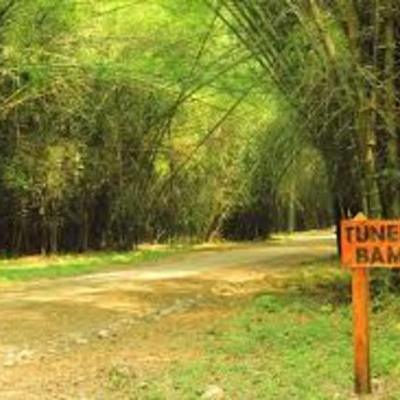 Timeline: Parque Botanico