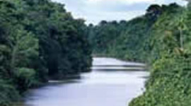 Timeline: A criação e a expansão da SABESP