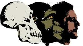 Timeline: La evolucion de la imagen a lo largo de la historia.