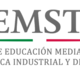 Logo uemstis
