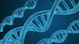 Timeline: Modificación de genes