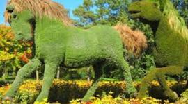 Timeline: CONSTRUCCIÓN DE TOPIARIA DE CABALLO