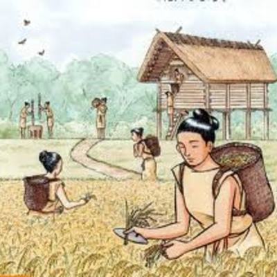 Timeline: PERIODE YAYOI fet per ariadna 1ra