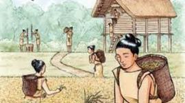 Timeline: PERIODE YAYOI fet per ariadna 1ra