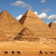 Egypt cairo pyramids camels