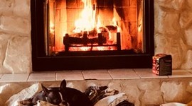 Timeline: Triangle Factory Fire