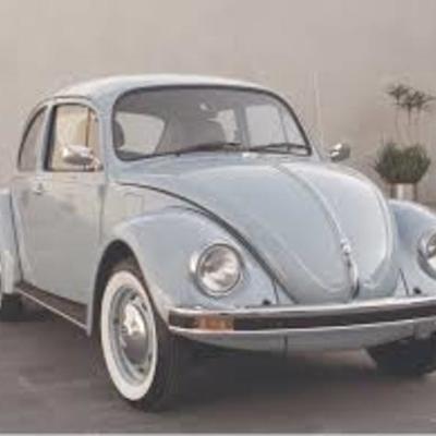 Timeline: HISTORIA DEL VOCHO