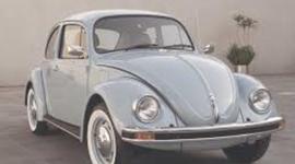 Timeline: HISTORIA DEL VOCHO