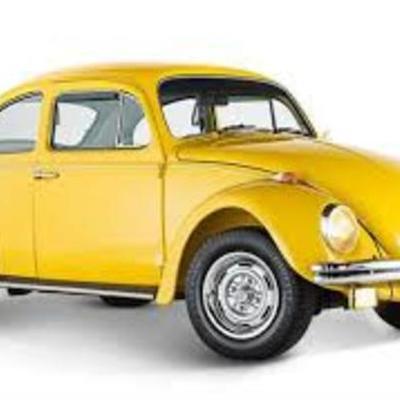 Timeline: HISTORIA DEL VOCHO