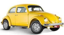 Timeline: HISTORIA DEL VOCHO