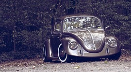 Timeline: LA HISTORIA DEL VOCHO